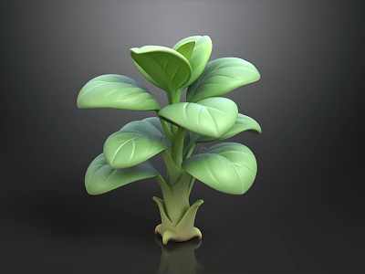 Green Leafy Plant With Large Leaves And Thick Stem On Dark Background 3d model