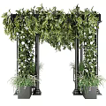 Bonsai Potted Plants in Garden Pavilion with Black Pillars Wooden Bench Green Vines White Flowers