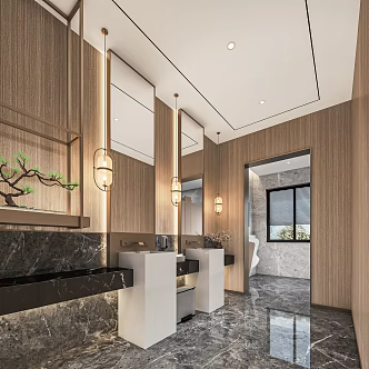 New Chinese Toilet Public Toilet Hotel Toilet Mirror Washbasin Toilet Door Double Washbasin 3d model