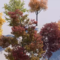 Colorful Deciduous Trees with Yellow Green Orange Red and Brown Autumn Leaves