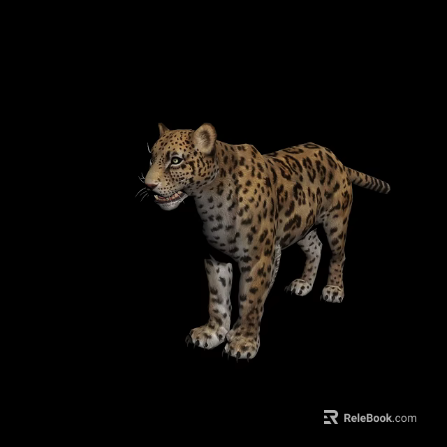 Leopard Patterned Reptile Standing On Black Background With Detailed Skin Texture 3d model