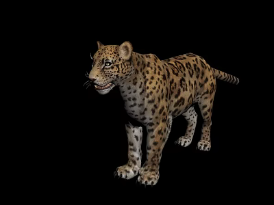 Leopard Patterned Reptile Standing On Black Background With Detailed Skin Texture 3d model