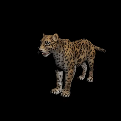 Modern leopard 3d model
