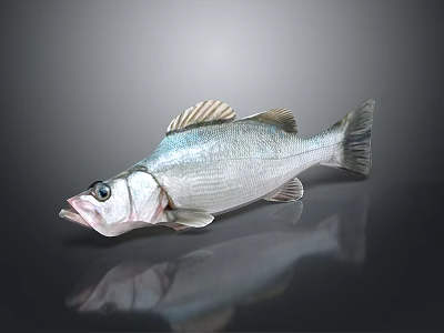 Fresh Silver Fish With Prominent Fins And Eyes On Dark Reflective Surface 3d model
