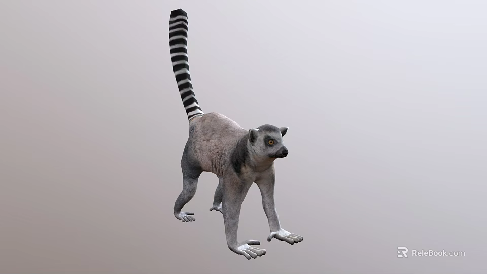 Gray Lemur With Black And White Striped Tail In Standing Posture 3d model