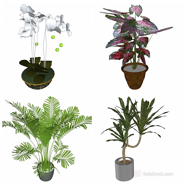Indoor Decorative Plants With White Orchids Red Purple Leaves And Green Ferns In Various Pots 3d model 