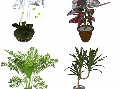 Indoor Decorative Plants With White Orchids Red Purple Leaves And Green Ferns In Various Pots 3d model