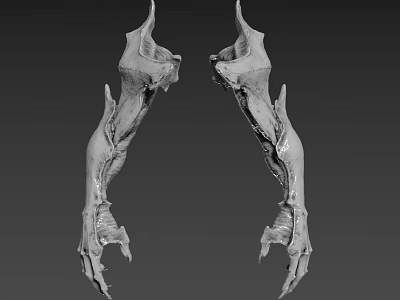 Mythical Creature Skeletal Limbs Featuring Symmetric Design Sharp Claws And Curved Horns 3d model