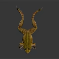 Green Frog With Open Mouth Detailed Skin Texture Standing On Dark Surface