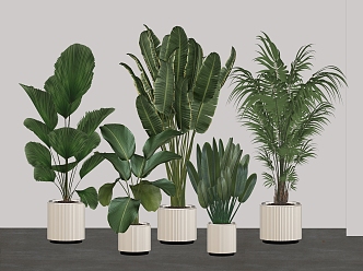 Modern potted plant green plant combination 3d model