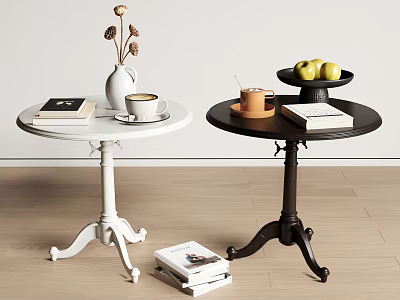 Modern Side Tables In White And Dark With Books Coffee Cup Vase Fruit Tray 3d model