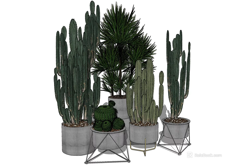 Bonsai Potted Plants with Various Cacti and Green Plants in Concrete Pots and Metal Stands 3d model 