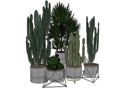 Bonsai Potted Plants with Various Cacti and Green Plants in Concrete Pots and Metal Stands 3d model
