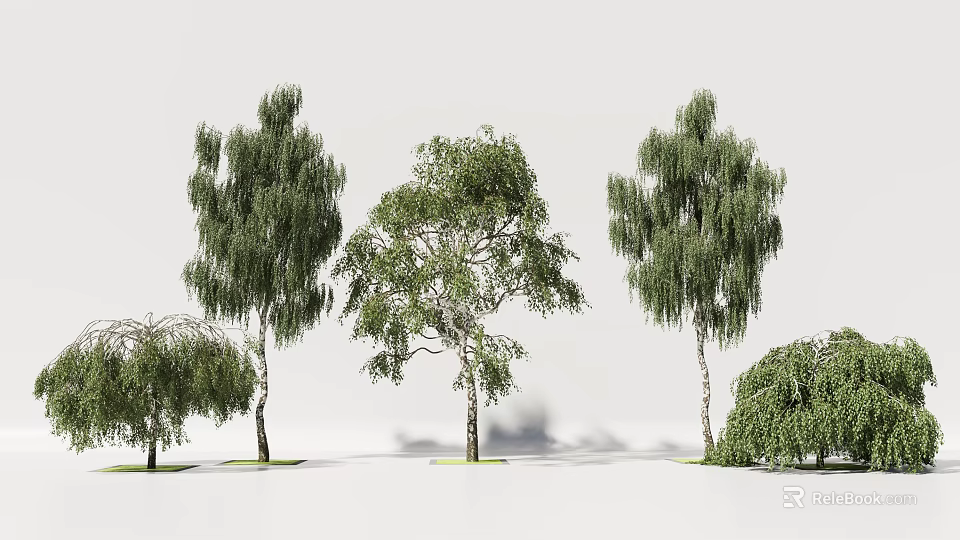 Trees With Green Foliage And Various Branch Structures In Natural Arrangement 3d model 