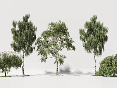Trees With Green Foliage And Various Branch Structures In Natural Arrangement 3d model