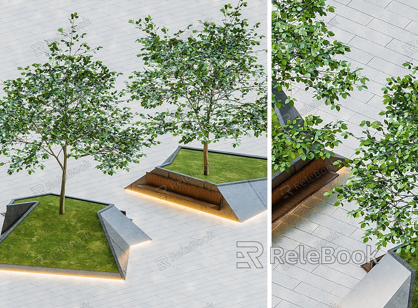 Trees Shrubs Landscape Trees Street Trees Courtyard Trees Beech Trees Beech Trees model