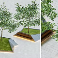 Trees Shrubs Landscape Trees Street Trees Courtyard Trees Beech Trees Beech Trees 3d model