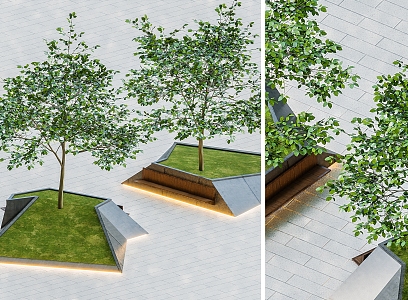 Trees Shrubs Landscape Trees Street Trees Courtyard Trees Beech Trees Beech Trees 3d model