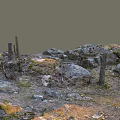 Natural Wood and Stone Scene with Dead Tree Trunks Moss Gravel and Grass