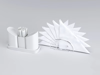 White Tissue Holder with Tissue Roll and Fan Shaped Folded Tissues on Light Gray 3d model
