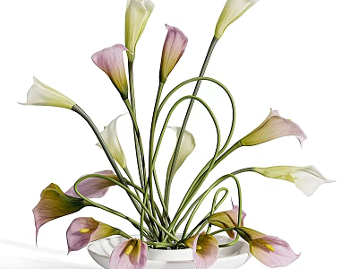 Elegant Calla Lily Arrangement with Pink White Blooms in White Ceramic Bowl Vase 3d model