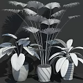 Potted Bonsai Plants With Lush Green Leaves In White Striped Pots And Dark Wooden Wall