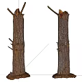 Tree Trunks Cut Down With Broken Branches And Soil Base On White Background 3d model