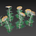 Blooming Sunflowers Standing Tall With Bright Yellow Petals And Green Leaves