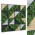 Modern Geometric Living Wall with Green Foliage Wooden Panels and Black Frames