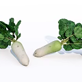Fresh White Radishes With Green Leaves And White Roots On White Background