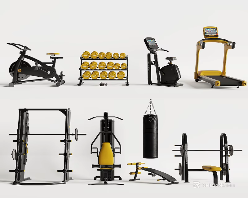 Complete Sports Equipment With Exercise Bikes Dumbbell Racks Treadmills Squat Racks Punching Bags Bench Presses 3d model 