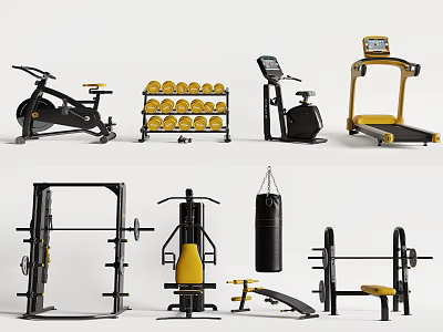Complete Sports Equipment With Exercise Bikes Dumbbell Racks Treadmills Squat Racks Punching Bags Bench Presses 3d model