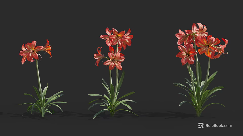 Stunning Red Flowers With Fresh Green Leaves On Dark Black Background 3d model 