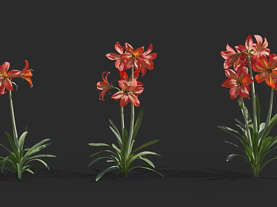 Stunning Red Flowers With Fresh Green Leaves On Dark Black Background 3d model