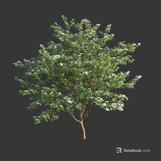 Tall Tree With Lush Green Leaves And Brown Trunk In Natural Environment 3d model 