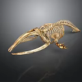 Detailed Marine Animal Skeleton With Long Jaw And Vertebrae Structure On Dark Background