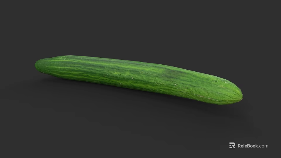 Freshly Picked Organic Green Long Striped Cucumber on Dark Background 3d model 
