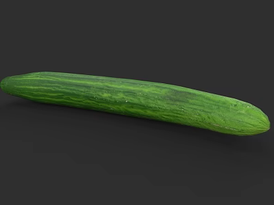 Freshly Picked Organic Green Long Striped Cucumber on Dark Background 3d model