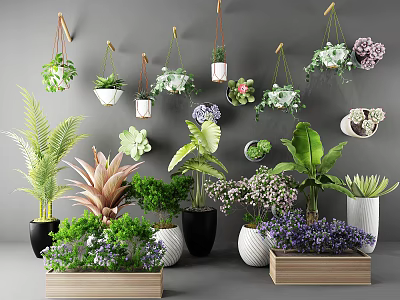 Various Bonsai and Potted Plants with Hanging Planters Ceramic Pots and Wooden Boxes 3d model