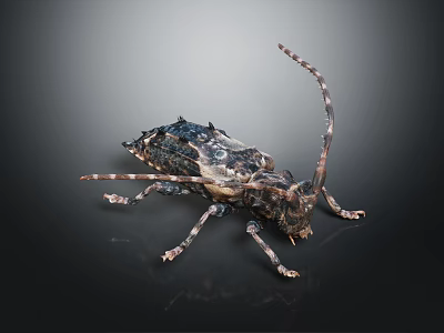 Dark Colored Beetle With Long Antennae And Detailed Body Patterns Standing On Dark Background 3d model