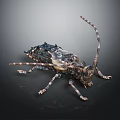 Dark Colored Beetle With Long Antennae And Detailed Body Patterns Standing On Dark Background 3d model