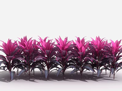 modern shrubs, plantain 3d model