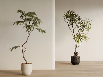 02 potted ancient plants potted 3d model