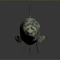 Green And White Spotted Fish With Black Eyes Green Tail And Fins On Black Background