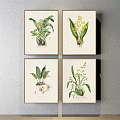 Vintage Botanical Prints With Hand Drawn Floral Details Framed Wall Art Decor