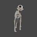 Cartoon Style 3D Skeleton Dog Game Movie Character With Black Eyes