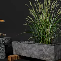 Garden Ornaments Featuring Rooster Figurine Stone Stand Round Table And Tall Grass Planter