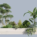 Vibrant Garden Shrubs in White Wooden Planter with Small Trees and Purple Flowers