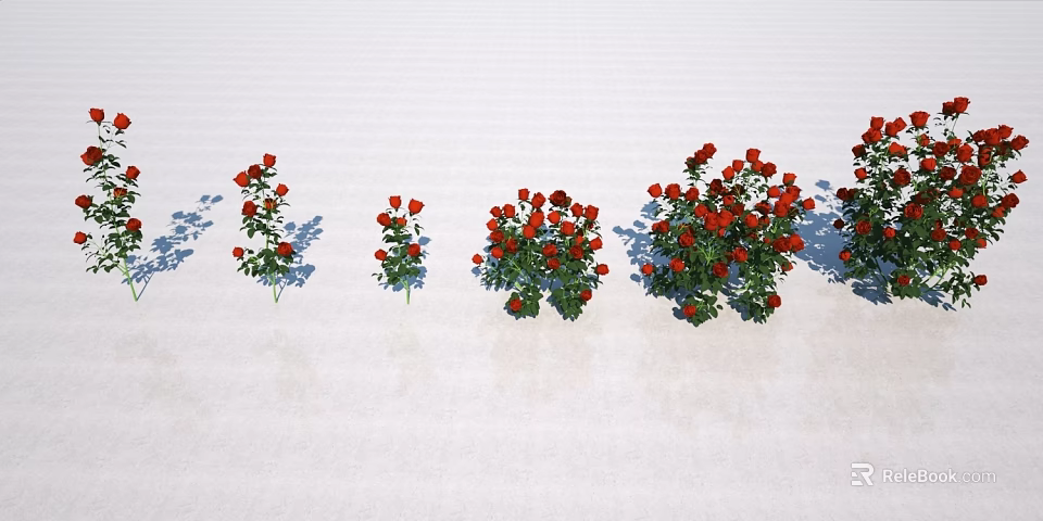 Red Rose Bushes of Different Sizes on White Ground with Shadows 3d model 