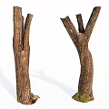 Natural Wooden Tree Stumps Featuring Stone Like Texture And Bark Patterns 3d model